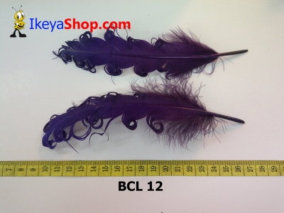 bulu curly BCL 12   feather  large2